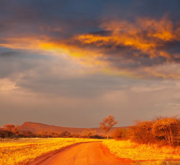 Дорога Кении — стоковое фото