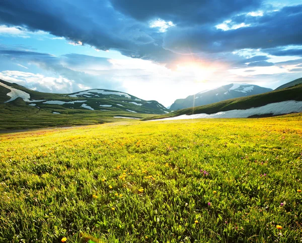 日の出山草原 — ストック写真