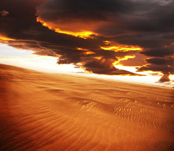 Gobi desert