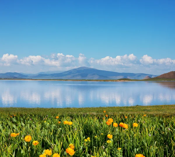 Lake on Altai mountains — Stock Photo, Image