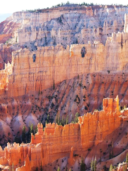 Bryce canyon nos EUA — Fotografia de Stock