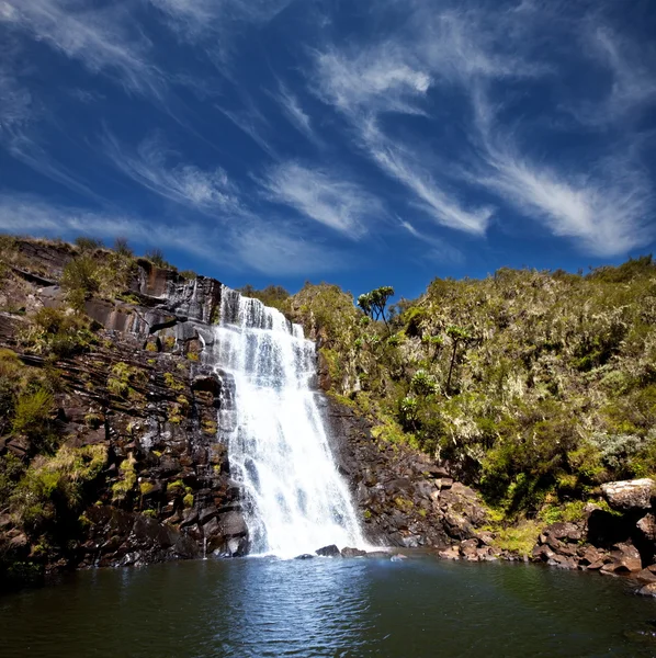 Cachoeira em Kenya, Aberdare park — Fotografia de Stock