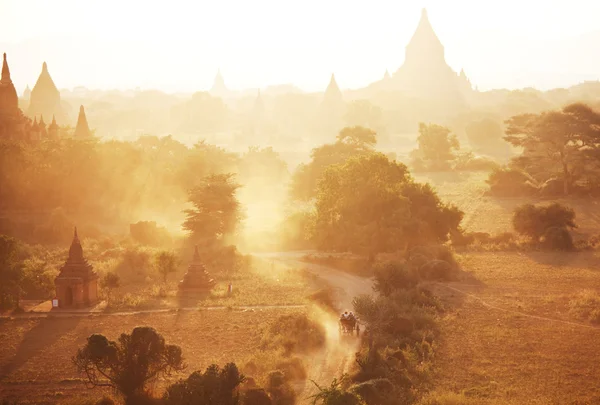 Баган в Мьянме — стоковое фото