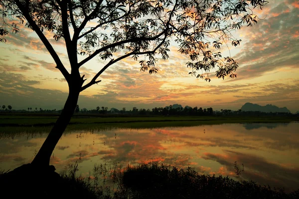 Fluss bei Sonnenuntergang — Stockfoto