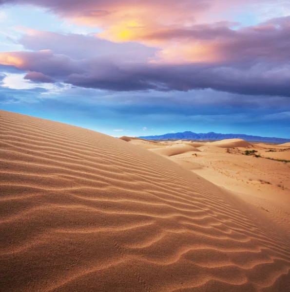 Пустелі Гобі в Монголії — стокове фото