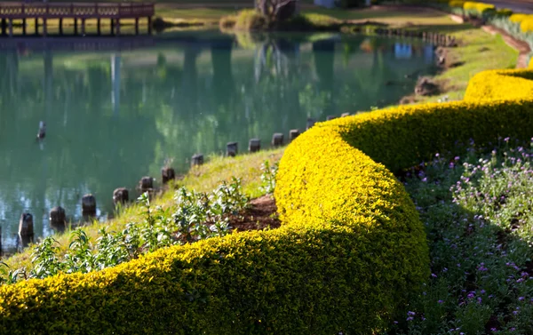 สวนสวย — ภาพถ่ายสต็อก
