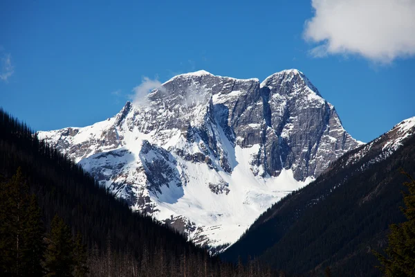 Kanadisches Gebirge — Stockfoto