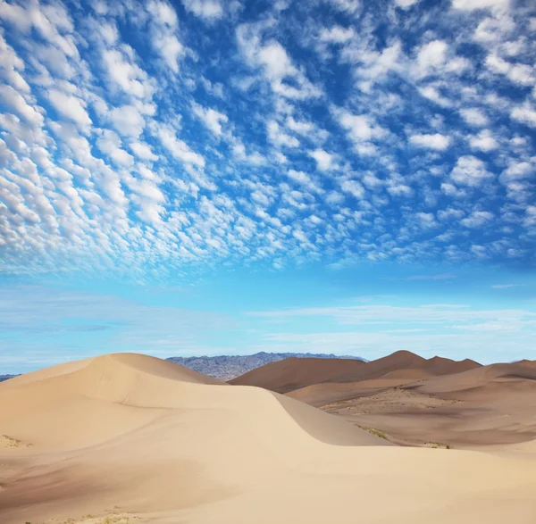Desierto de Gobi —  Fotos de Stock