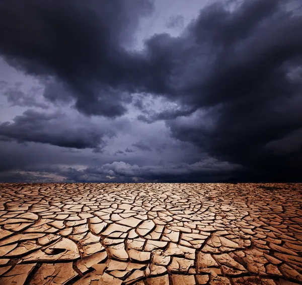 Посуха землі — стокове фото