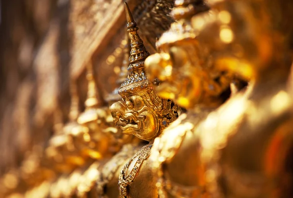 Zlatý garuga — Stock fotografie