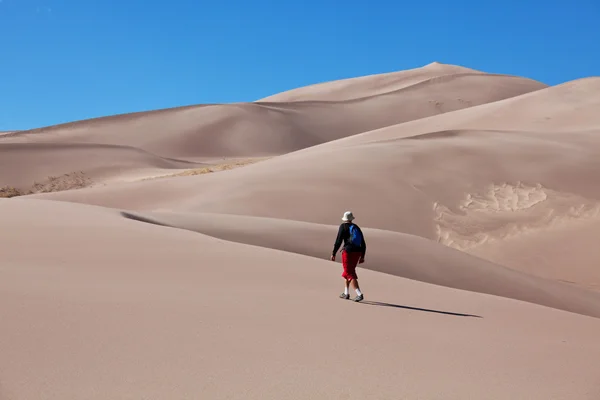 Caminata en el desierto — Foto de Stock