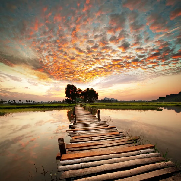 Nehirde günbatımı — Stok fotoğraf