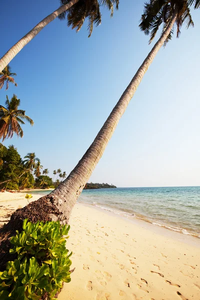 Zee van Andaman — Stockfoto