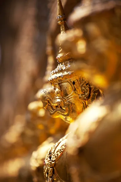 Gouden garuga — Stockfoto