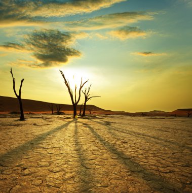 Namib çölü. Namibya'nın ölü vadide