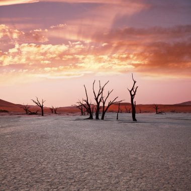 Namib desert clipart