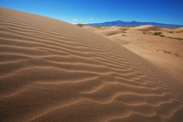 Duna no deserto — Fotografia de Stock