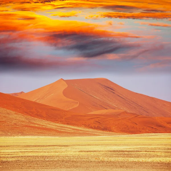 Dune dans le désert — Photo