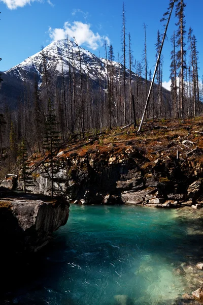 Río en las montañas —  Fotos de Stock