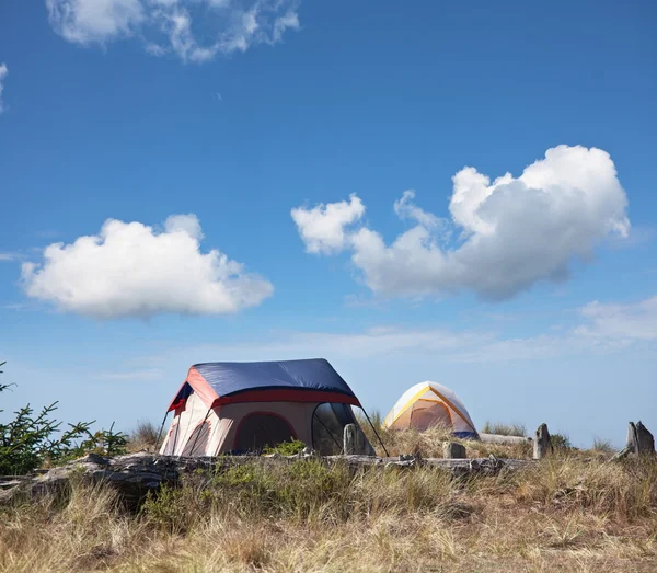 Teltta nurmella — kuvapankkivalokuva