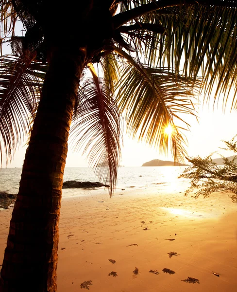 熱帯ビーチ — ストック写真