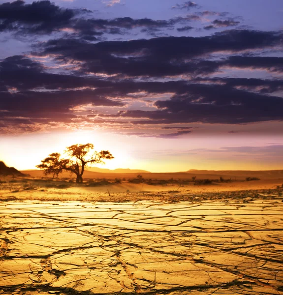 ナミブ砂漠 — ストック写真