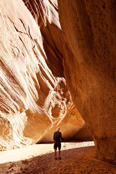 Прогулка по каньону — стоковое фото