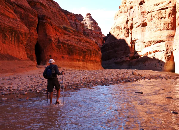 Прогулка по каньону — стоковое фото