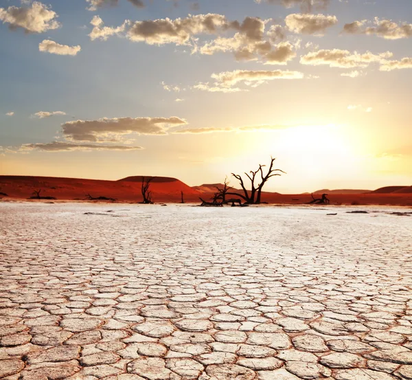 Wüste Namib Stockbild
