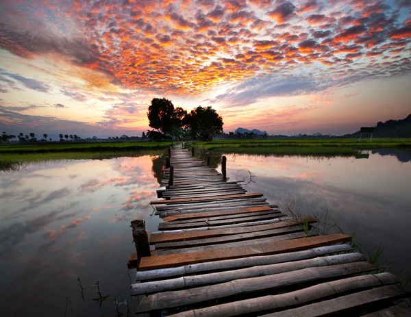 Nehirde günbatımı — Stok fotoğraf