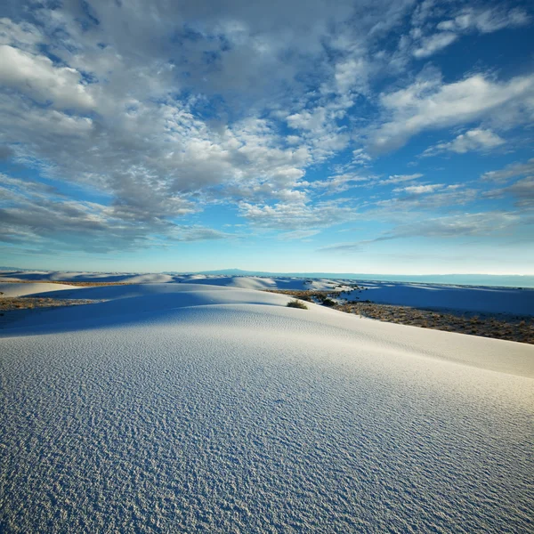 Beyaz çöl — Stok fotoğraf