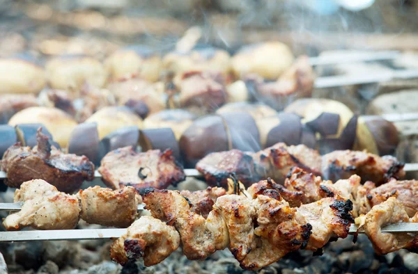 stock image Barbecue on picnic