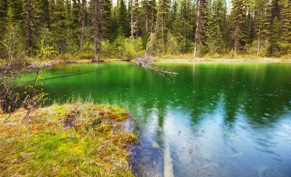 カナダの湖 — ストック写真