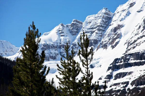 Montañas canadienses — Foto de Stock