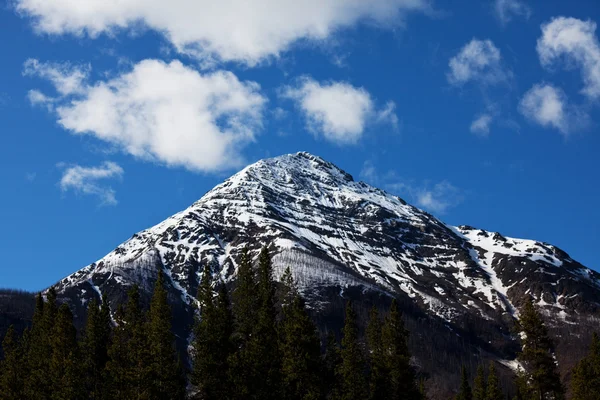 Горы Канады — стоковое фото