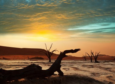 Namib,Dead valley in Namibia clipart