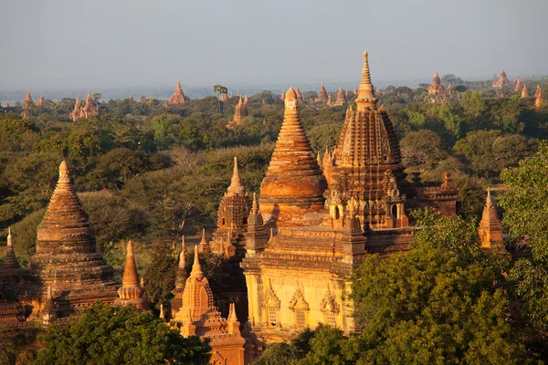 Bagan al tramonto in Myanmar — Foto Stock