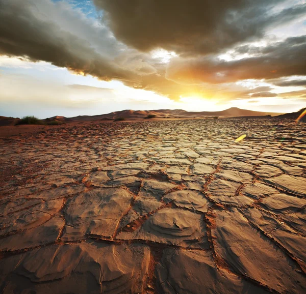 Tierras de sequía —  Fotos de Stock