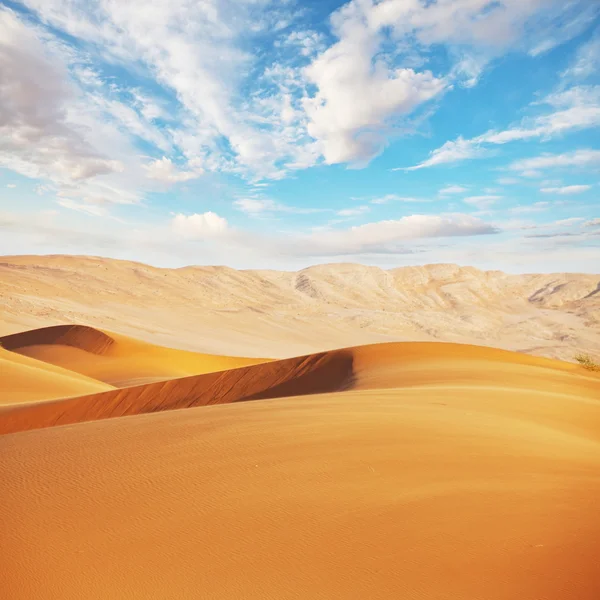 Desierto de Gobi —  Fotos de Stock