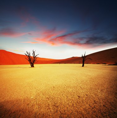 Namib,Dead valley in Namibia clipart