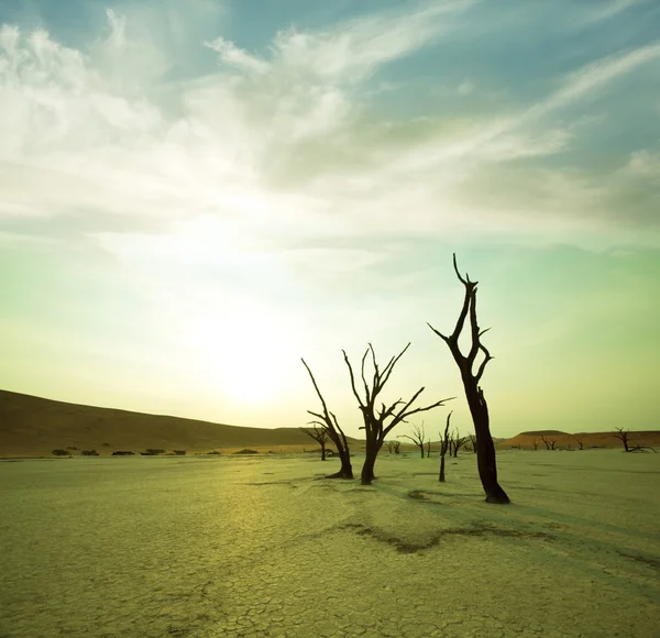 Namib, mrtvé údolí v Namibii — Stock fotografie