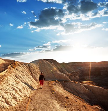 petrifield forest park için yapılan zammı