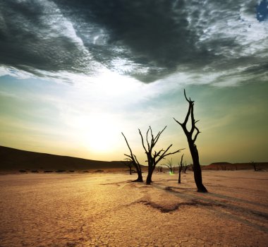 Dead valley in Namibia clipart