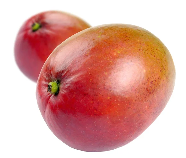 Två mango — Stockfoto