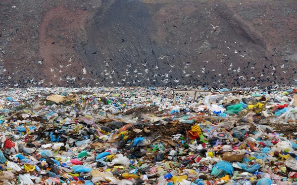 Household dust on a city dump — Stock Photo, Image
