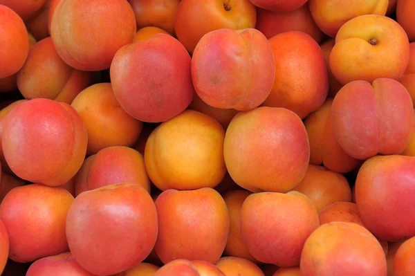 Ripe red and orange apricots — Stock Photo, Image