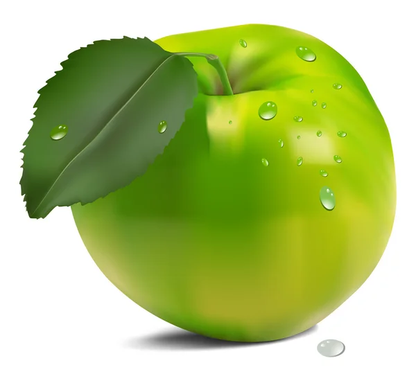 Свіже зелене яблуко з зеленим листям — стоковий вектор