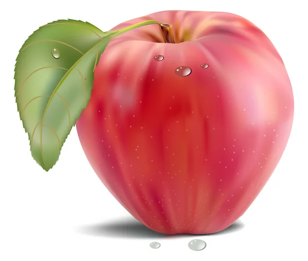Świeże czerwone jabłko z zielonych liści — Wektor stockowy