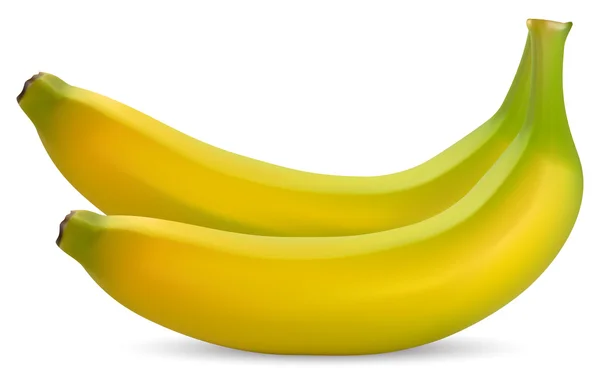 Mogna bananer — Stock vektor