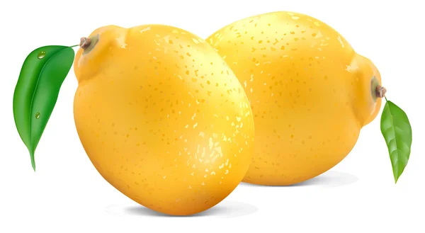 Fresh lemons — Stock Vector